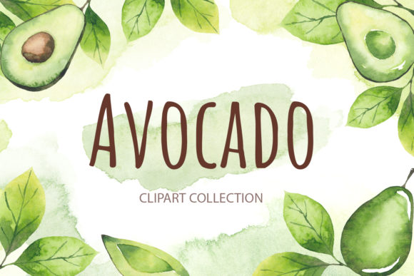 Avocado Watercolor Clipart & Illustrations