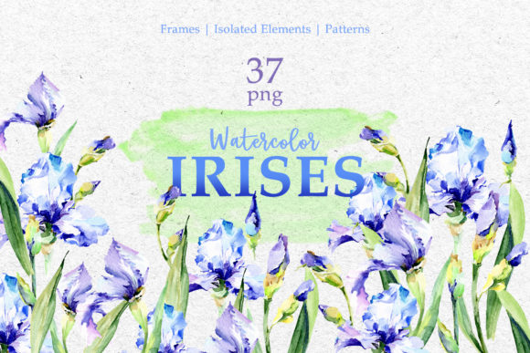 Blue Watercolor Irises PNG Set Review