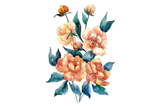 Bouquet of Flowers Dimeter Orange Watercolor PNG Illustrations