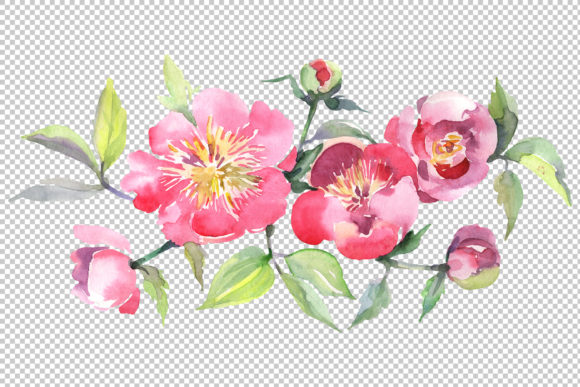 Bouquet with Tea Pink Roses Watercolor Illustrations