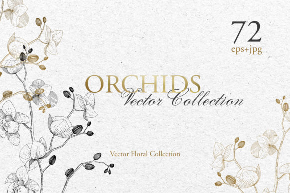 Branch of Orchids Vector Watercolor Illustrations