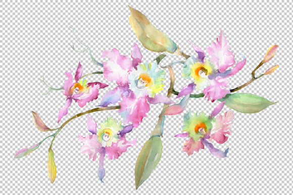 Branch of Pink Orchids Watercolor Review