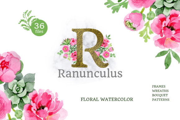 Buttercup Flowers Pink Watercolor Png & Illustrations