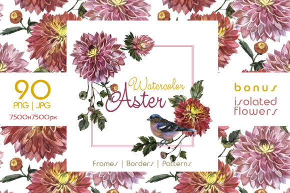 Charming Asters Watercolor Set: Illustrations Review