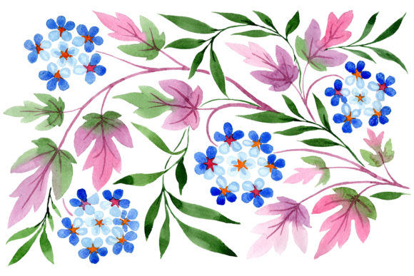 Classic Watercolor Ornament Illustrations Review