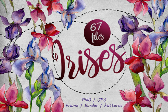 Colorful Irises Watercolor Set Illustrations