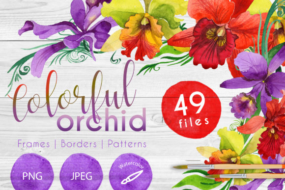 Colorful Orchid Watercolor Set Illustrations