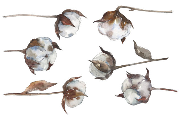 Cotton 2 Watercolor: A Designer's Real-World Review