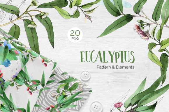 Eucalyptus Branch Watercolor Png for Illustrations
