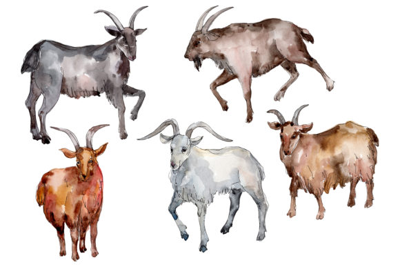 Farm Animals Goat Watercolor Embroidery Review