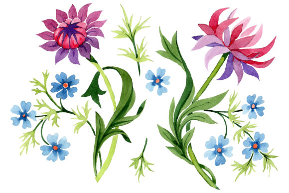 Floral Classic Watercolor Ornament Illustrations