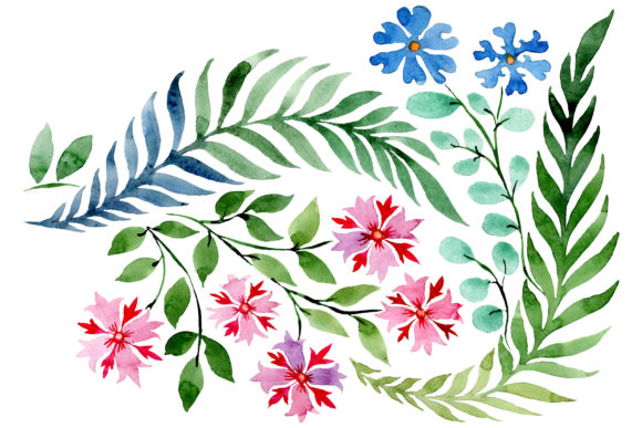 Flower Drawing Watercolor Illustrations Review