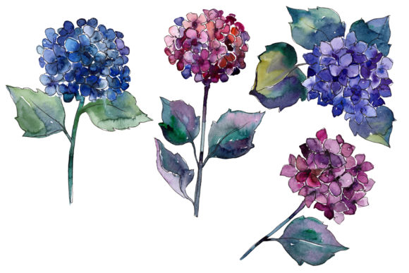 Hydrangea Purple and Blue Watercolor Set Review
