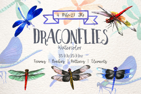 Insect Dragonfly PNG Watercolor Set Illustrations