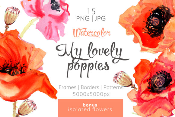 My Lovely Poppies PNG Watercolor Set & Illustrations