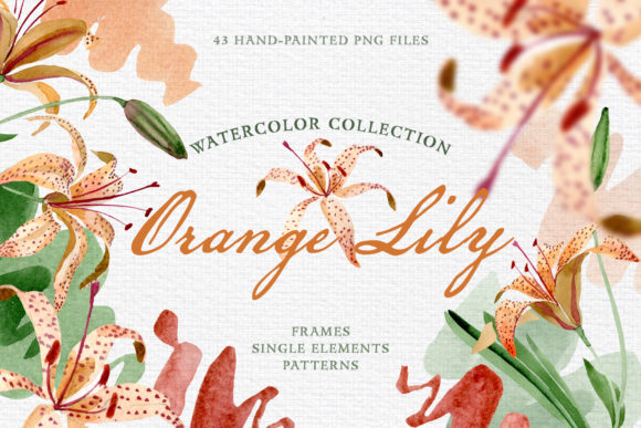 Orange Lily Watercolor Illustrations Review