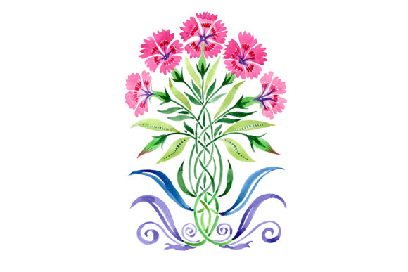 Ornament Carnations Pink Watercolor Illustrations