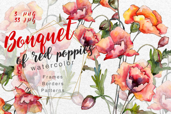 Red Poppies PNG Watercolor Set Illustrations