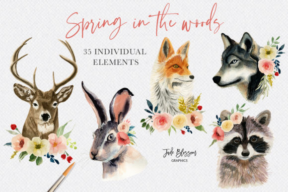 Spring in the Woods - Watercolor Animals Illustrations