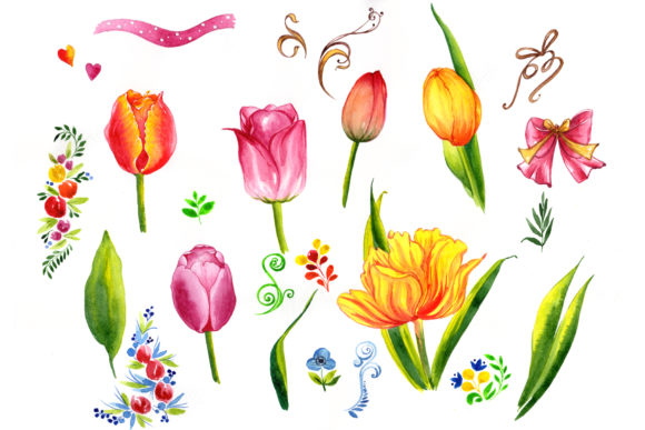 Summer Colorful Tulips Watercolor Set Illustrations