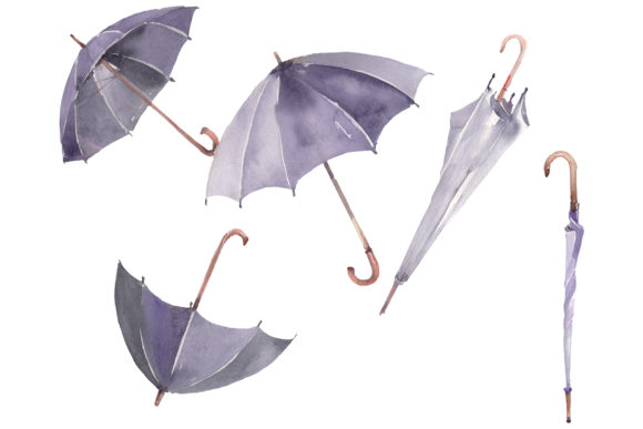 Umbrella Watercolor Illustrations Review