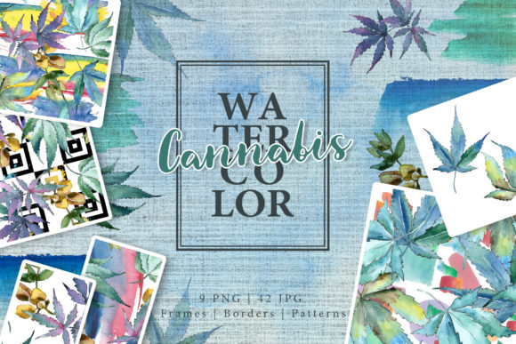 Watercolor Cannabis PNG Leaves Set & Illustrations