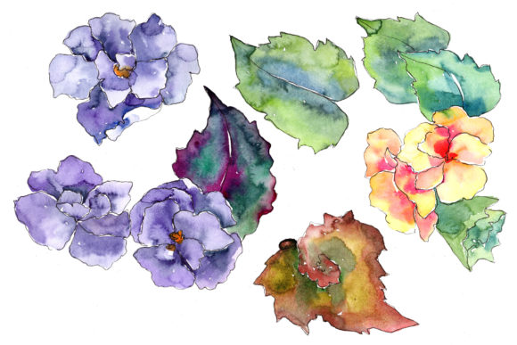 Watercolor Gardenia Wildflower Set Illustrations