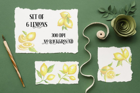 Watercolor Lemon Collection: Fresh Illustrations
