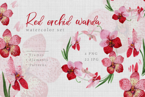 Watercolor Red Orchid Wanda Set Illustrations