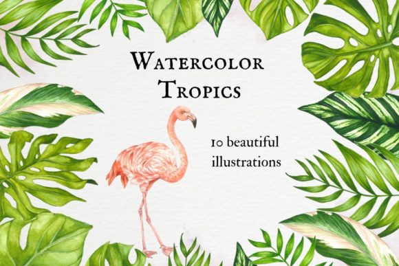 Watercolor Tropical Leaves Pink Flamingo Illustrations