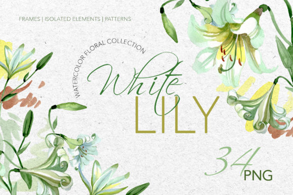 White Lily Watercolor Png: Premium Illustrations
